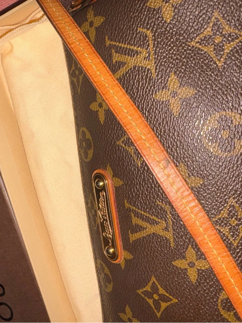 Louis Vuitton Brown EVA Monogram